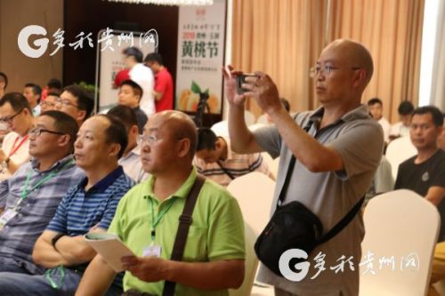 以節作媒 助推銷售 玉屏黃桃世界 貢 享